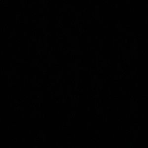 Meet your Posher, Libby